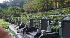 陵园风景图-12